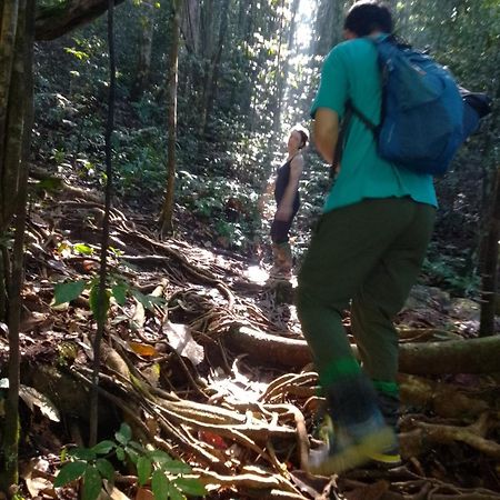 代尼耶耶 Rainforest River Edge酒店 外观 照片