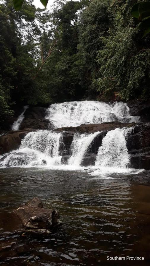 Rainforest River Edge 代尼耶耶 外观 照片