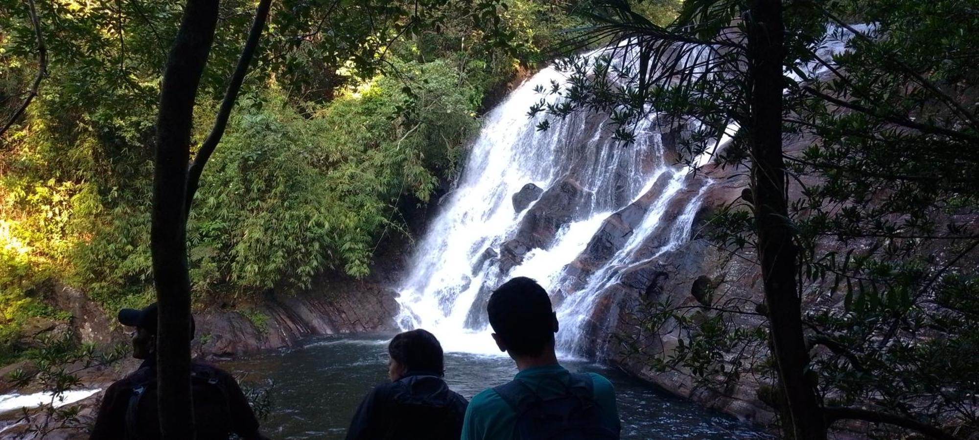 Rainforest River Edge 代尼耶耶 外观 照片