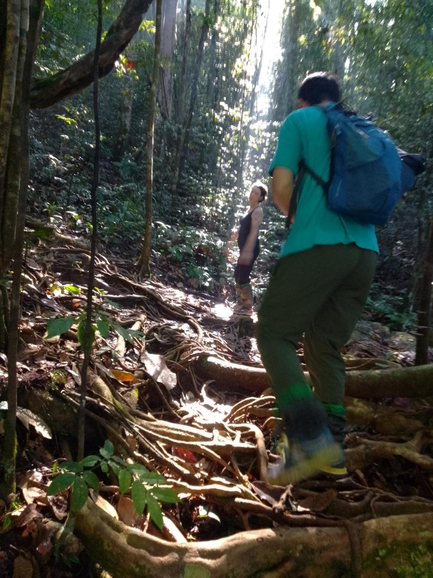 Rainforest River Edge 代尼耶耶 外观 照片